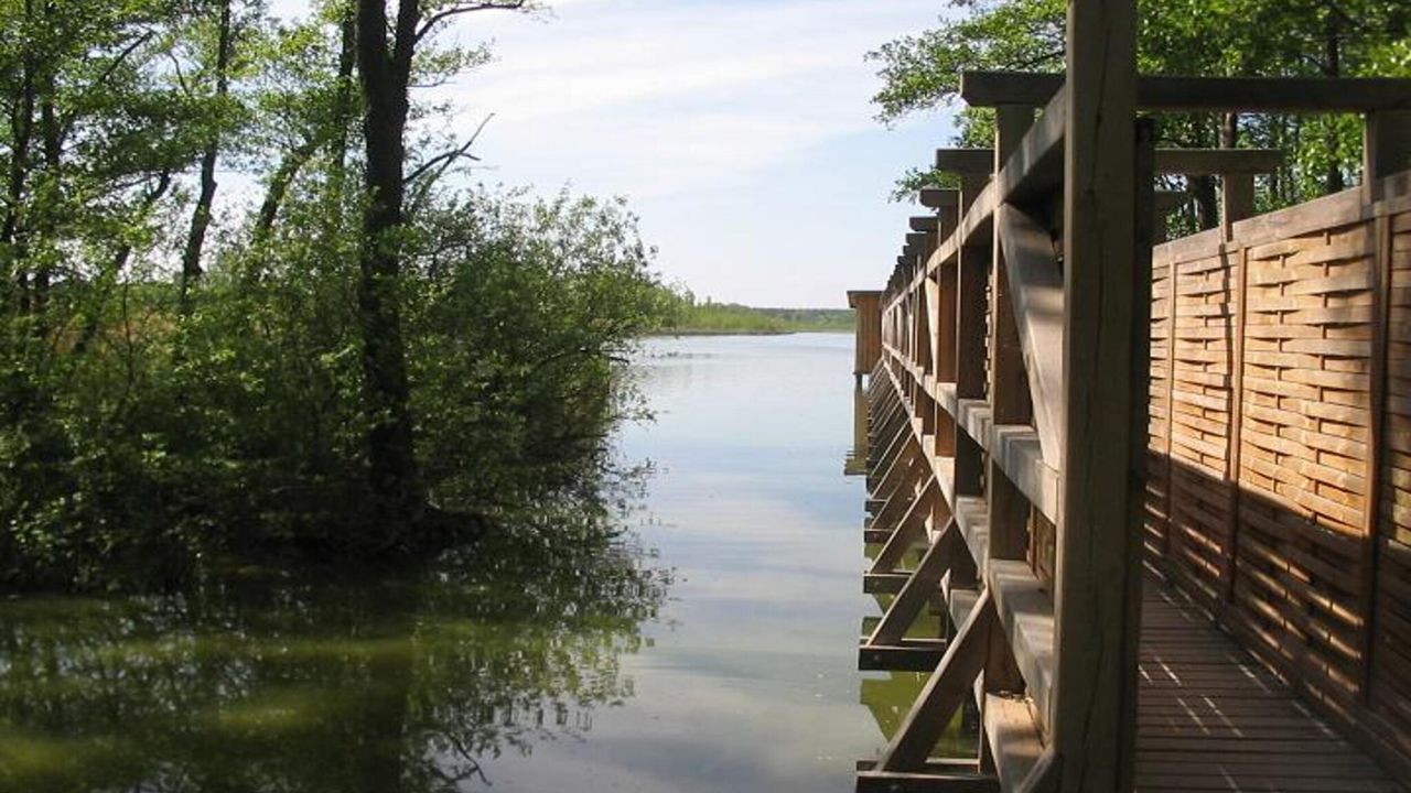 AreaSummer20KM AreaSummer20KM